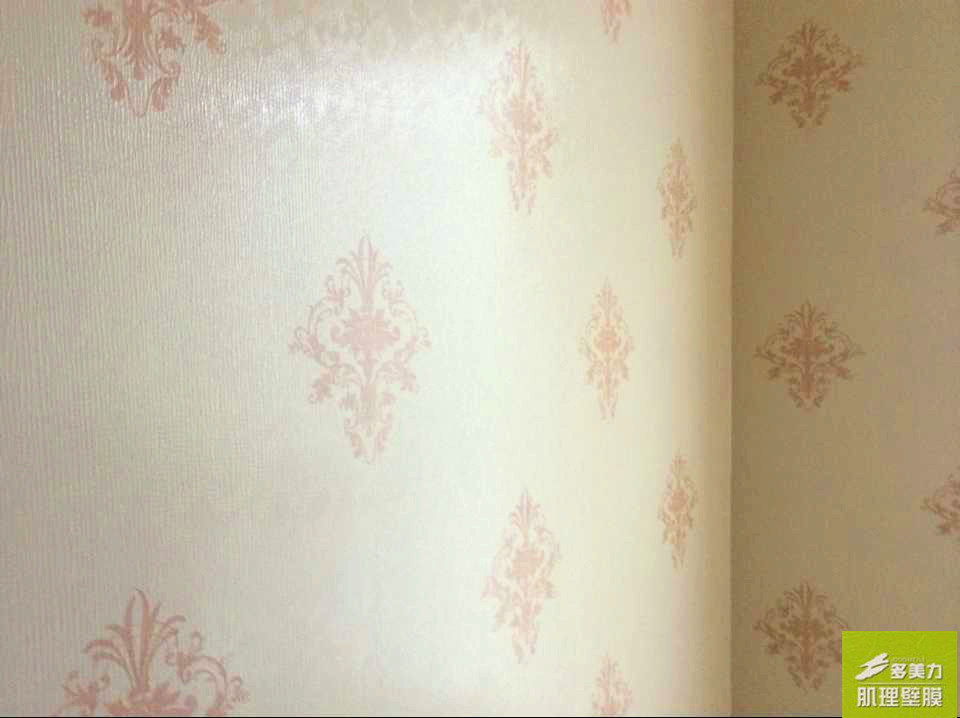 ������Ĥʩ������