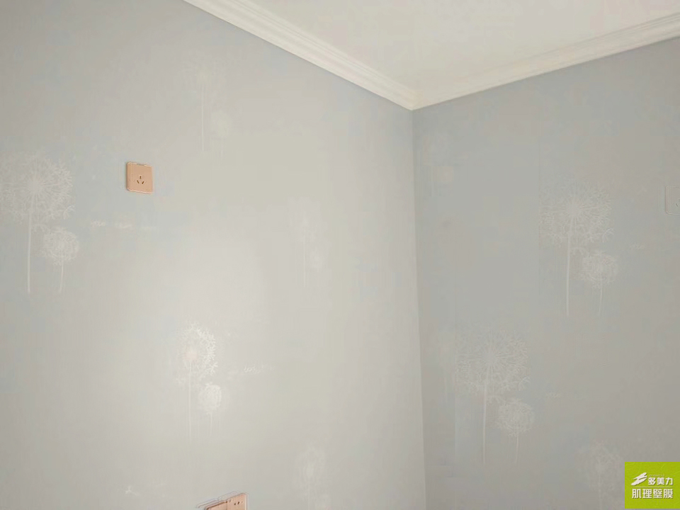 ������Ĥʩ������