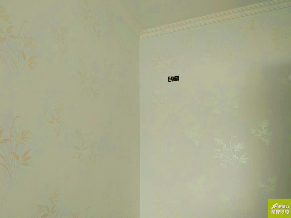 ������Ĥʩ������